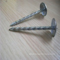 Umbrella Head Roofing Nails